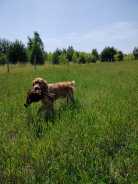 e768fd91018117d0a44a611f59f4c191_138x184_fill