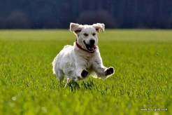 e77f0e02355a8fedf7f3464c03cde748_246x164_fill