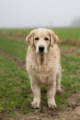 e798d976f5d05f8abbecfc0f0e32d61c_164x246