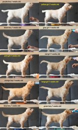 e7990a1210fe0625a61d34843a1675df_156x259