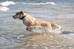 e7993c5e31c6e1e9a113d8e8fd811647_246