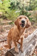 e799963645220b1a4ce3e6db957fa9eb_130x195