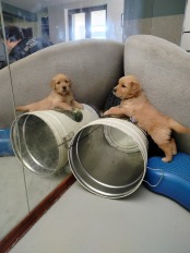 e7ce1e9e912983b9098b339aee323e30_174x232_fill