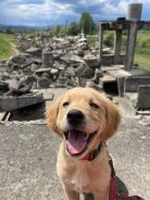 e85e0a357c4c68bf8602328b57d89e95_138x184_fill