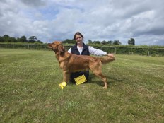 e86fea0f5ab7873c233188e46038eb94_232x174_fill