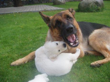 e8a387838d3aea95255e0720b92dcfe5_461