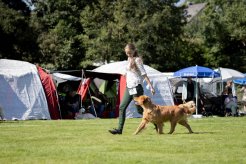 e8b8670e5438a499ec6b785659de96fa_246