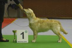 e8e1ac8f18a50ae7de31513ad27b9156_245