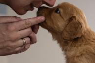 e8e959ffcb9f5a90e6bf48045c9f62bf_195x130_fill