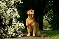 e8fc2b0a2f70ad6874935d50f732e02f_245