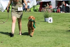 e92d6c6718cc4cb561af8e43bb4be3bf_246x164_fill