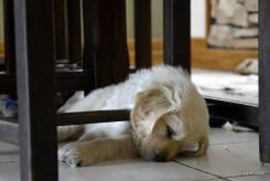 e978c51979bb69db9a277c7945808a89_245