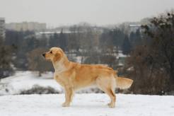 e97f3e6c9020572ab7b5815c6af89e1d_246x164_fill