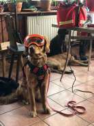 e9d15fa2f4d8ef19397e3af13686ca25_138x184_fill