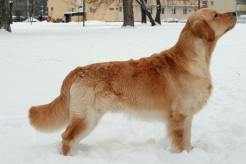 e9fbd57d0967f40156a784aa9ac0db86_246x164_fill