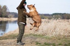 ea204cfd47d1595c23be4cb47ae5f9c7_246