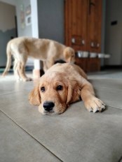 ea67637aebb1b1b67c2e33d6ebe36f82_174x232_fill