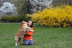 eb400a8da15fe854cebe2a21b58c945d_245