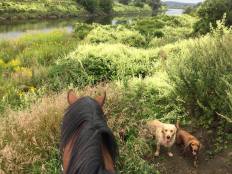 eb79253f17b10c15be2d37d258757e2e_232x174_fill