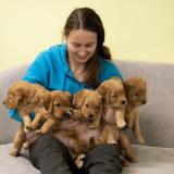 ebef7561780f2bd9c89b2d836e4a20ee_160x160_fill