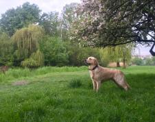 ec3a09c3ebf017efc2378aed27677473_226