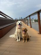 ec87e3a16ca71f35c00deb6d26f28b9a_138x184_fill