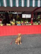 ecca83300d3ff3eb8a9d129b679c03db_138x184_fill