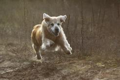 ecde7bde6c1a24a4c4f8904b92e0e06f_246