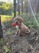 ed32dfaff2b2861f380127cbe879bff1_138x184_fill