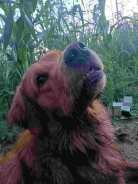 ed85f5746cbf2f4d7a76ce6b446e4e31_138x184_fill