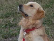 ee00118062ddbe2e3b4d5f0e67cf3d5e_232x174_fill