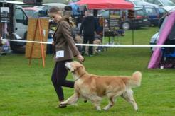 ee0443b9caf82353328913d980b28a10_246