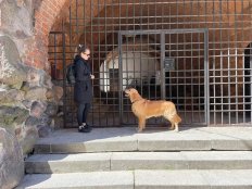 ee1f3d769c2a40aa83b3e6ad8422ed80_232x174_fill