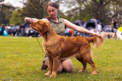 ee3d94ba32759b37221f033554471b80_246