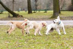 ee49fd11a7dca416649e6afeabc7ea0d_245