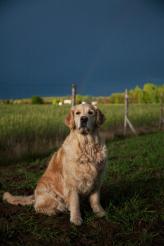 ee750e0b6c31ff29ec25fb250f1b8006_164x246_fill