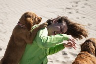 ee963b83d00b3d3714082c457f8d472a_195