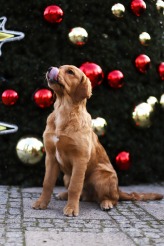 eec9dc446964513af4922668062d9658_164x246