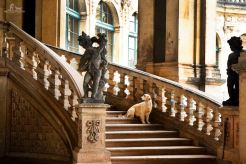 eef0d10be8e425b12e6cee1cb8941bca_246x164_fill