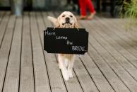 ef18f7e0ea4899797fb2f5d54a29ce47_194