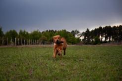 ef28600d746834658e5c1a0496e15ffa_246x164_fill