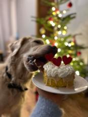 ef3b177686533bd9366fe3bbef3ef9e0_174x232_fill