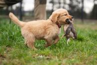 ef7140ae51bc922d0fffa8008327f93b_195