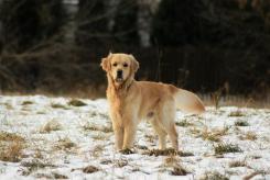 efb4838aee8f03d430f98f53b548845c_245