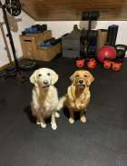 efc2dcc7e63bd54cc0c984df575fe2f3_140x183