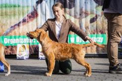 f0117123e915bf95a7666e172df482c7_246