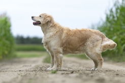 f039120d8c889735dd4e4d92339bd4f7_246