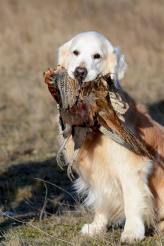 f048dc9509c428b7b440c7f0a0f50442_164x246_fill