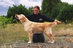 f0c31f5ddb57cdc505037c2e78059591_246