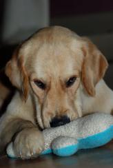 f10e579413d1932bd18619427bb83ccc_164x244